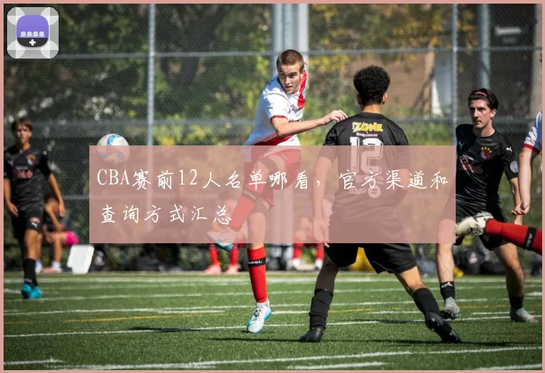 CBA赛前12人名单哪看,官方渠道和查询方式汇总