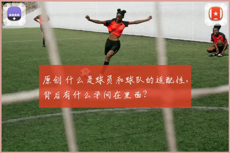 原创 什么是球员和球队的适配性，背后有什么学问在里面？