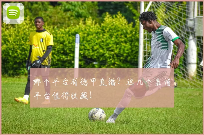 哪个平台有德甲直播？这几个靠谱平台值得收藏！