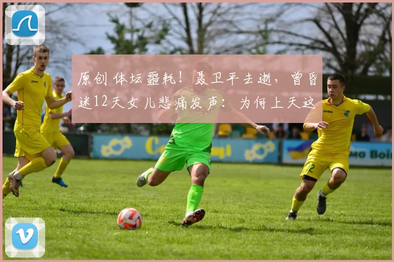 原创 体坛噩耗！聂卫平去逝，曾昏迷12天女儿悲痛发声：为何上天这么绝情