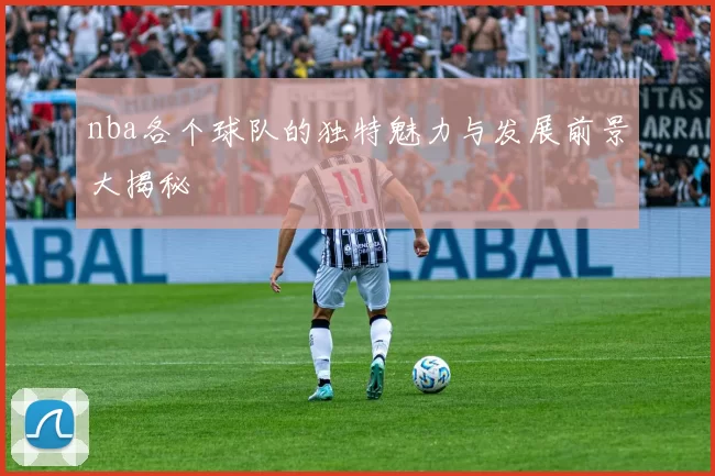 nba各个球队的独特魅力与发展前景大揭秘